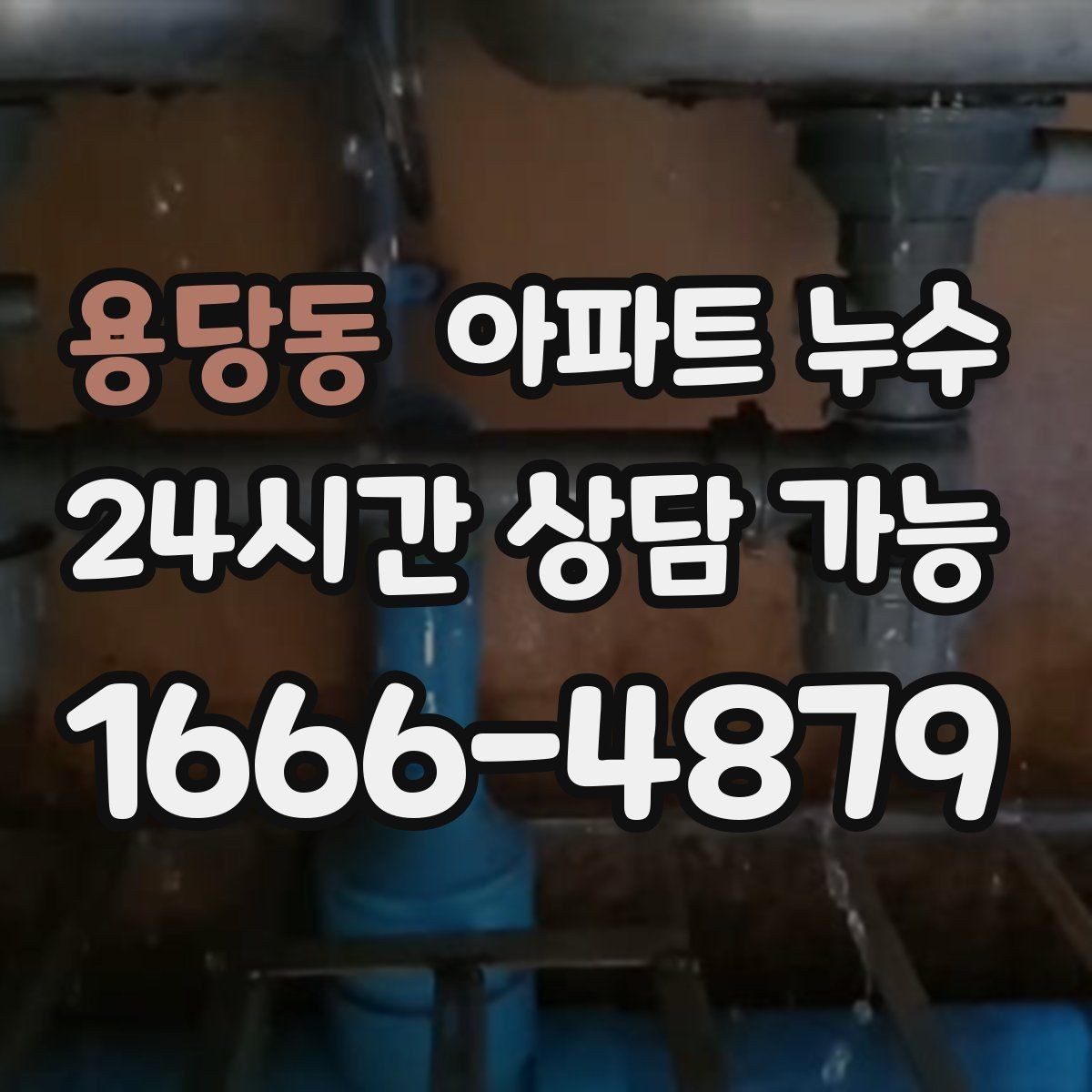 용당동 아파트 누수 욕실 문틀 하단이 변색될 때