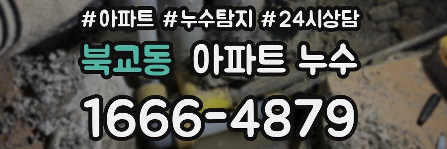 북교동 누수탐지