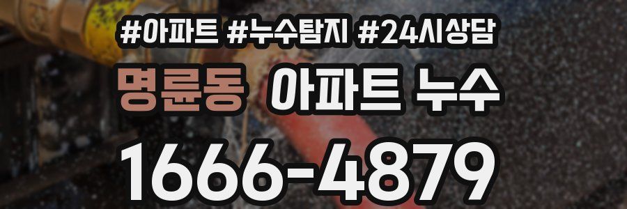 명륜동 누수탐지