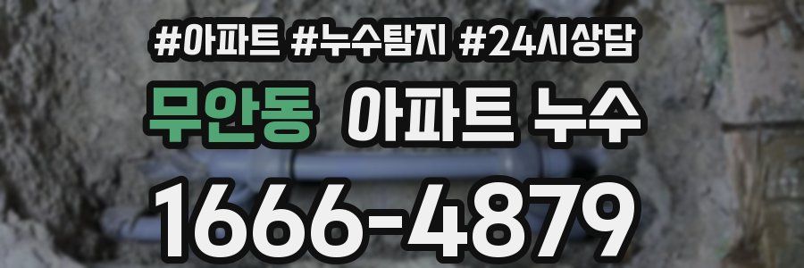 무안동 누수탐지