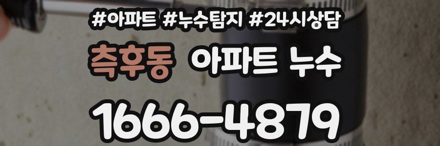 측후동 누수탐지