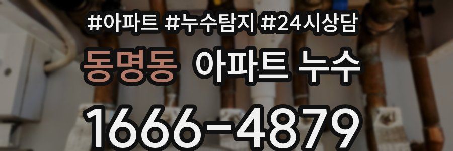 동명동 누수탐지