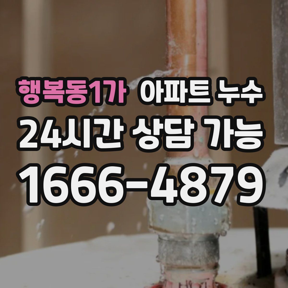 행복동1가 아파트 누수탐지