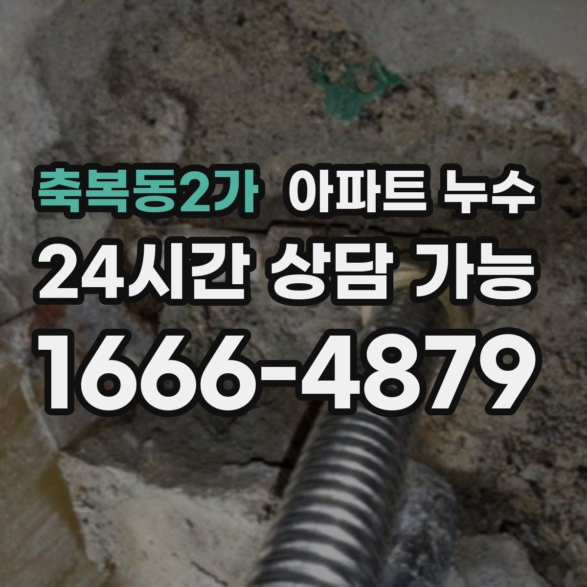 축복동2가 아파트 누수 벽 모서리 곰팡이 커지기 전 현장 체크