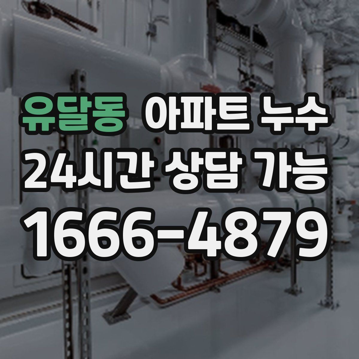 유달동 아파트 누수 장판 아래 곰팡이 냄새가 날 때