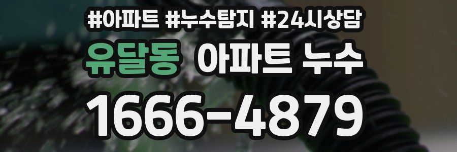 유달동 누수탐지