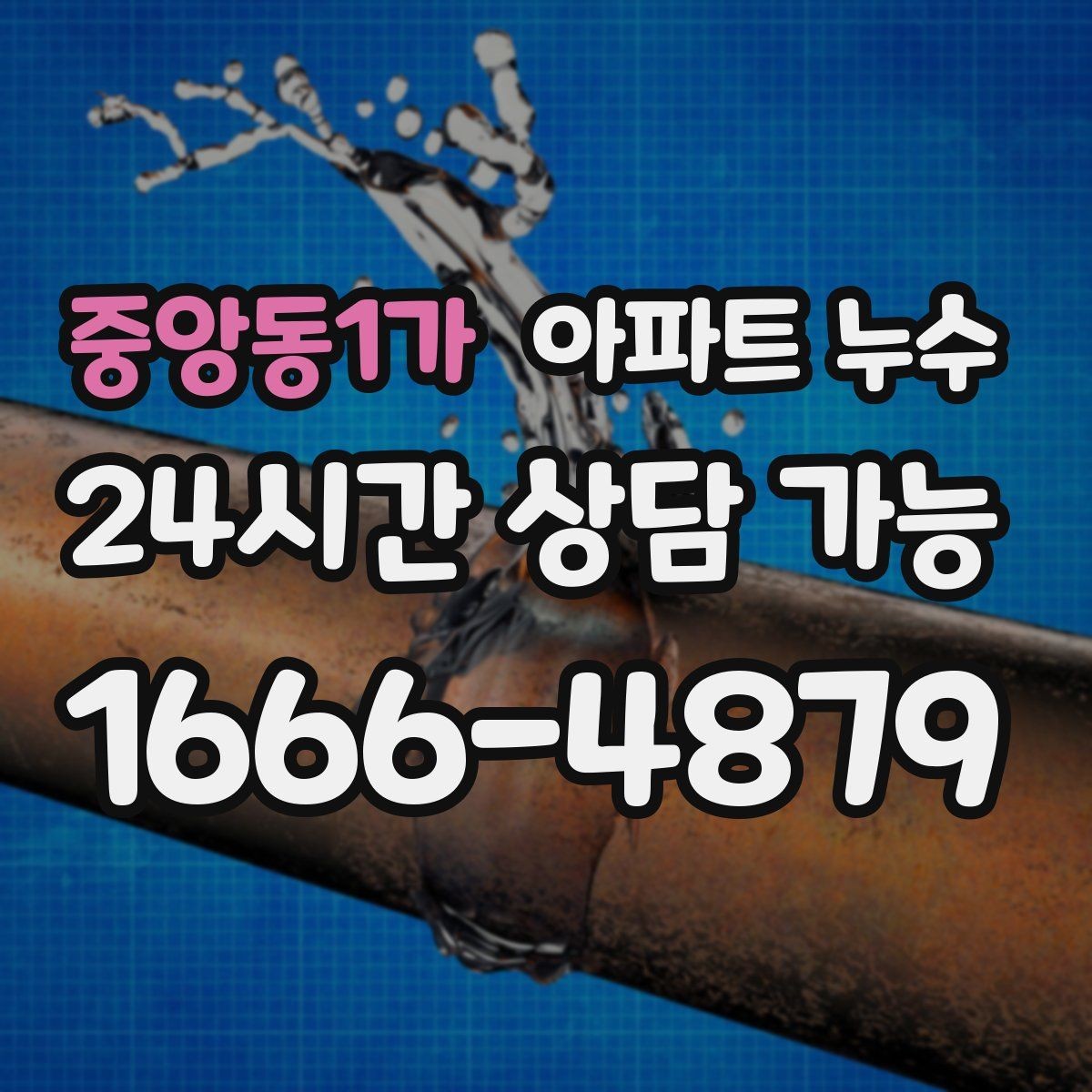 중앙동1가 아파트 누수 신발장 주변 습기 커지기 전 점검 순서 체크