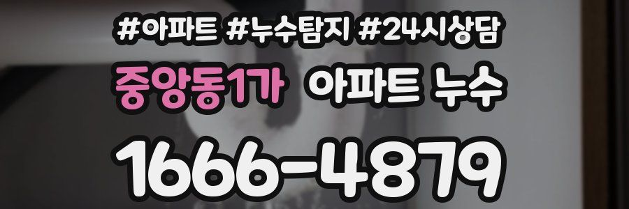 중앙동1가 누수탐지