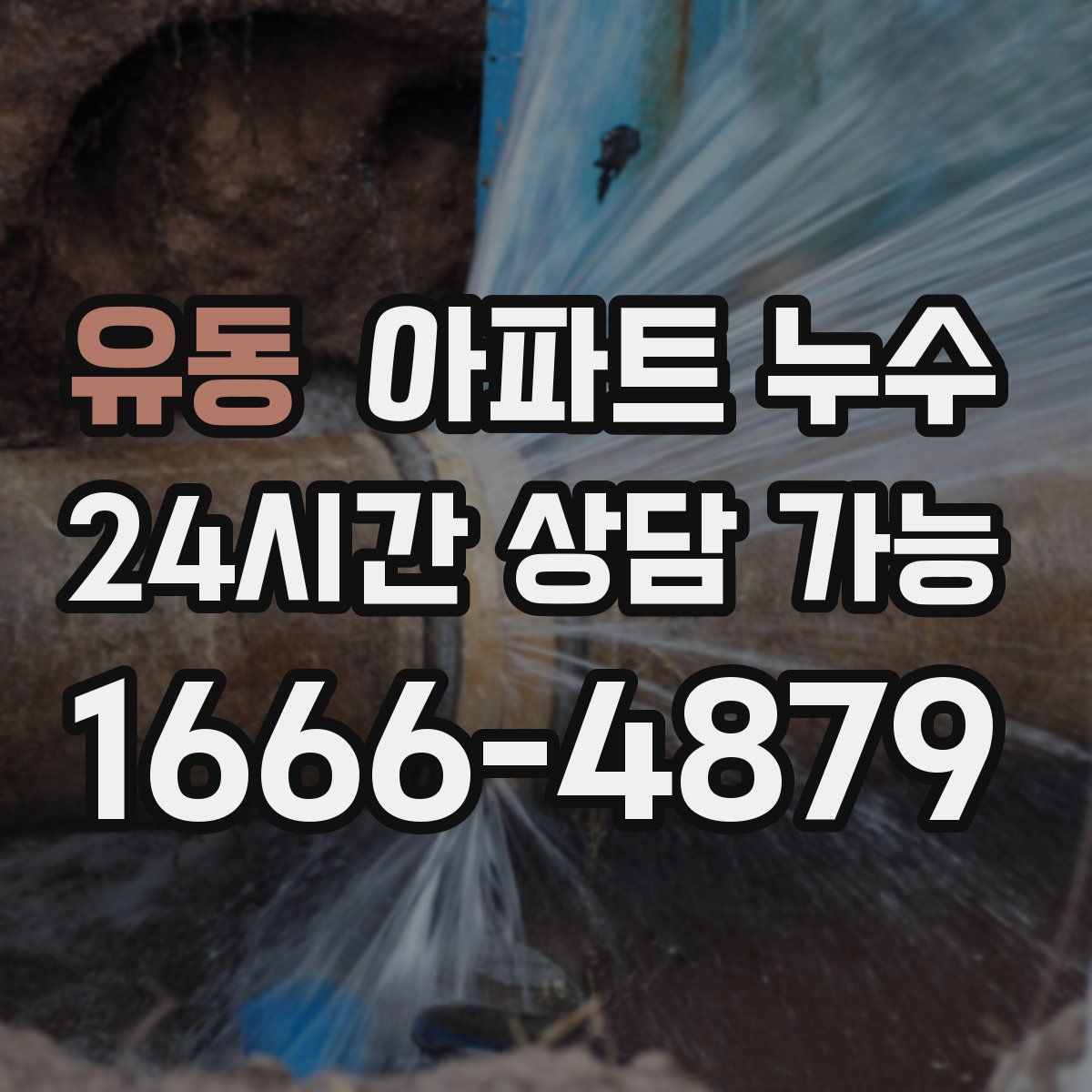 유동 아파트 누수탐지