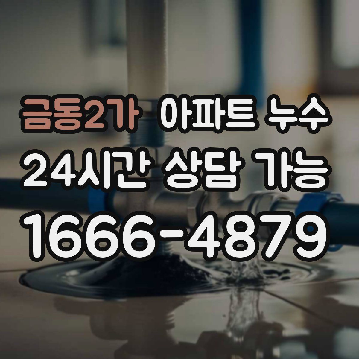 금동2가 아파트 누수탐지