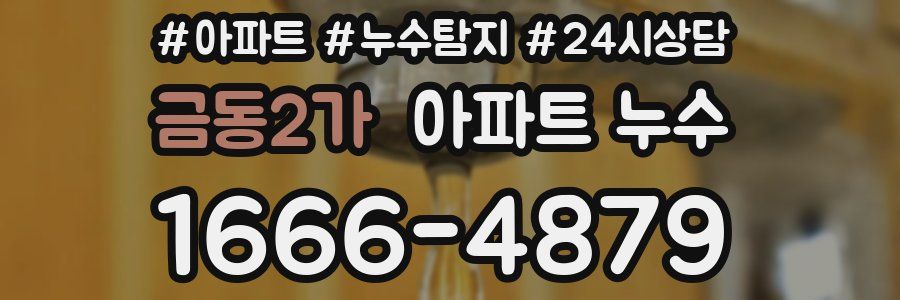 금동2가 누수탐지