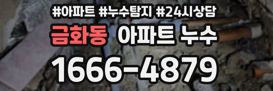 금화동 누수탐지