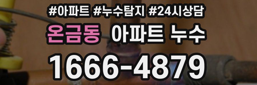 온금동 누수탐지