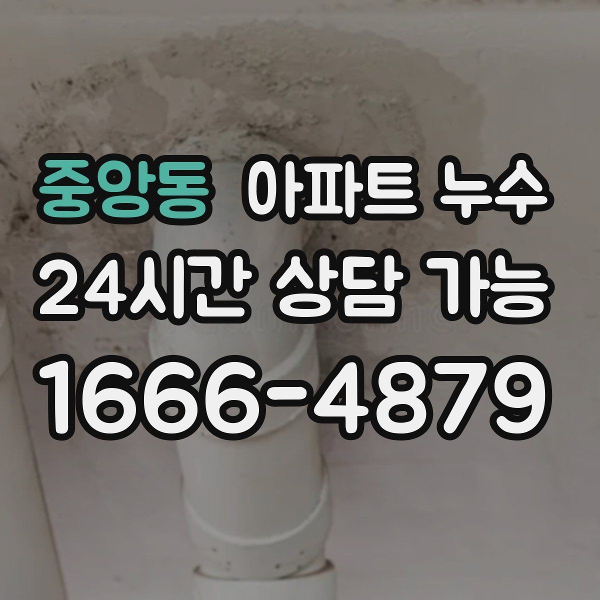 중앙동 아파트 누수 환절기 아래층 피해로 번지기 전 대응 요령