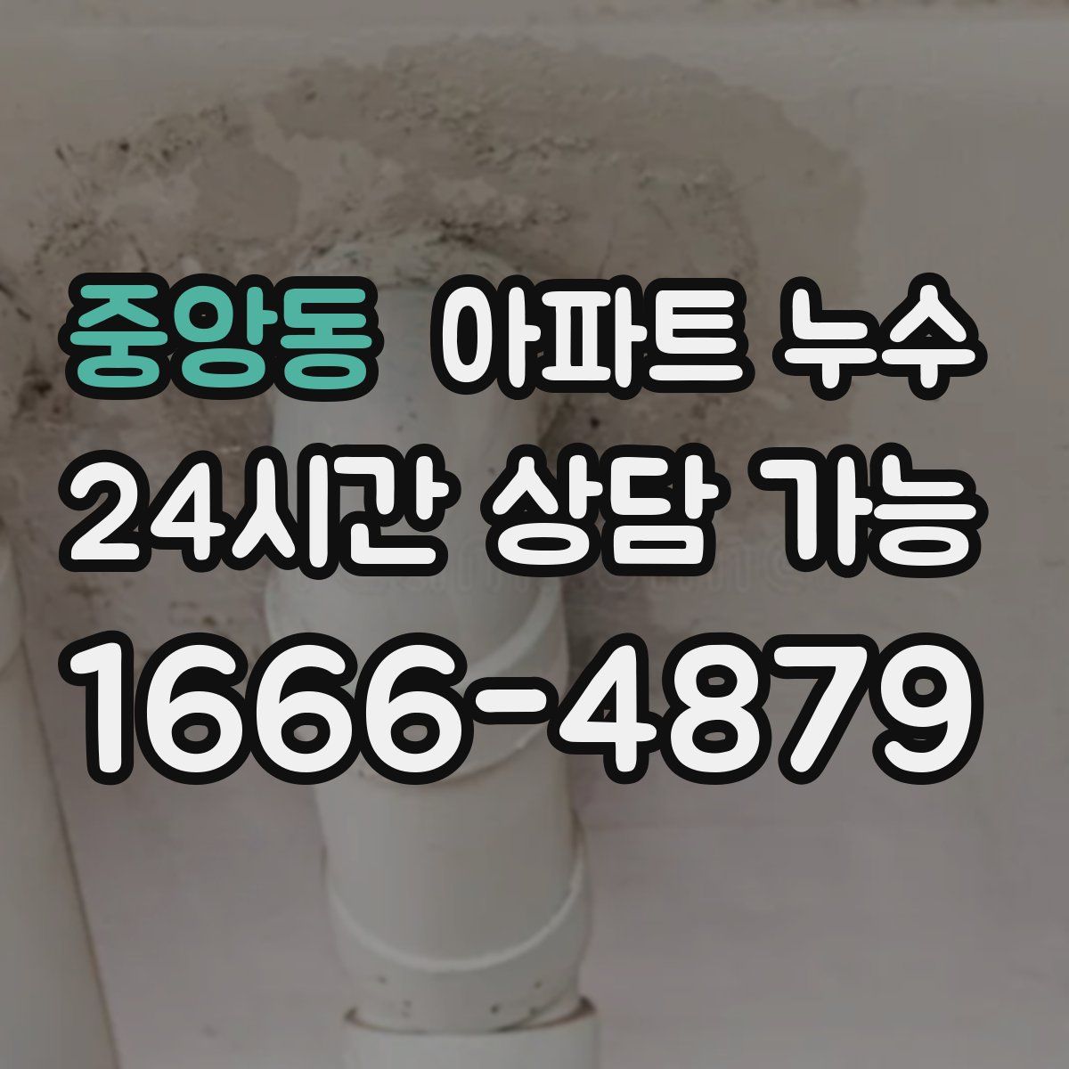 중앙동 아파트 누수탐지