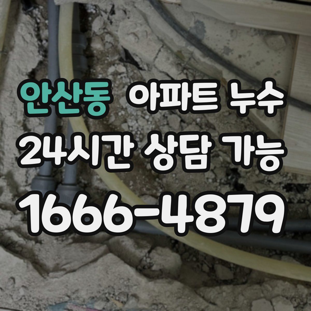 안산동 아파트 누수탐지