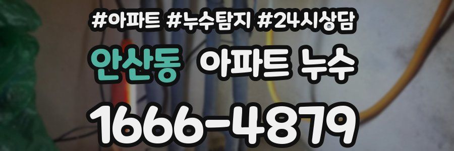 안산동 누수탐지