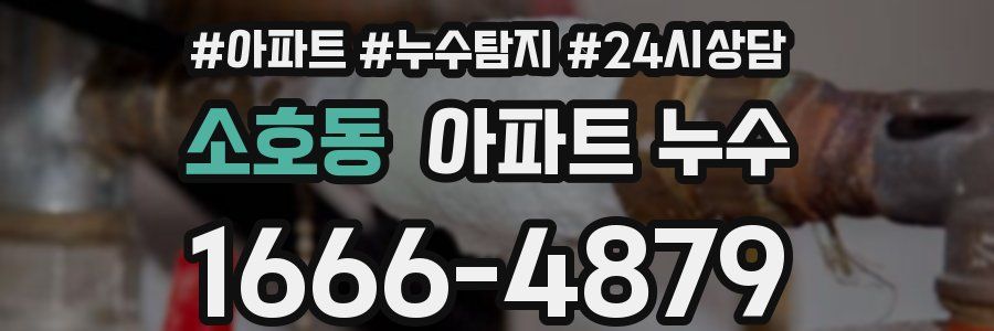 소호동 누수탐지
