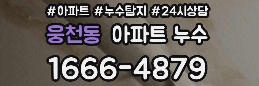 웅천동 누수탐지