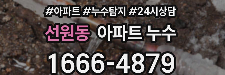 선원동 누수탐지