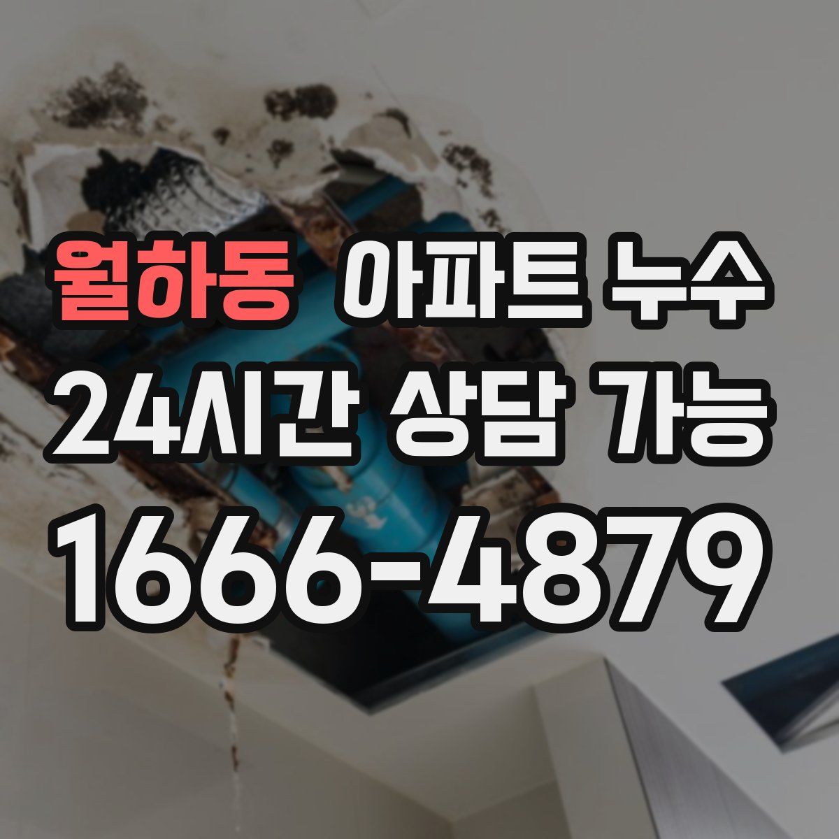 월하동 아파트 누수탐지