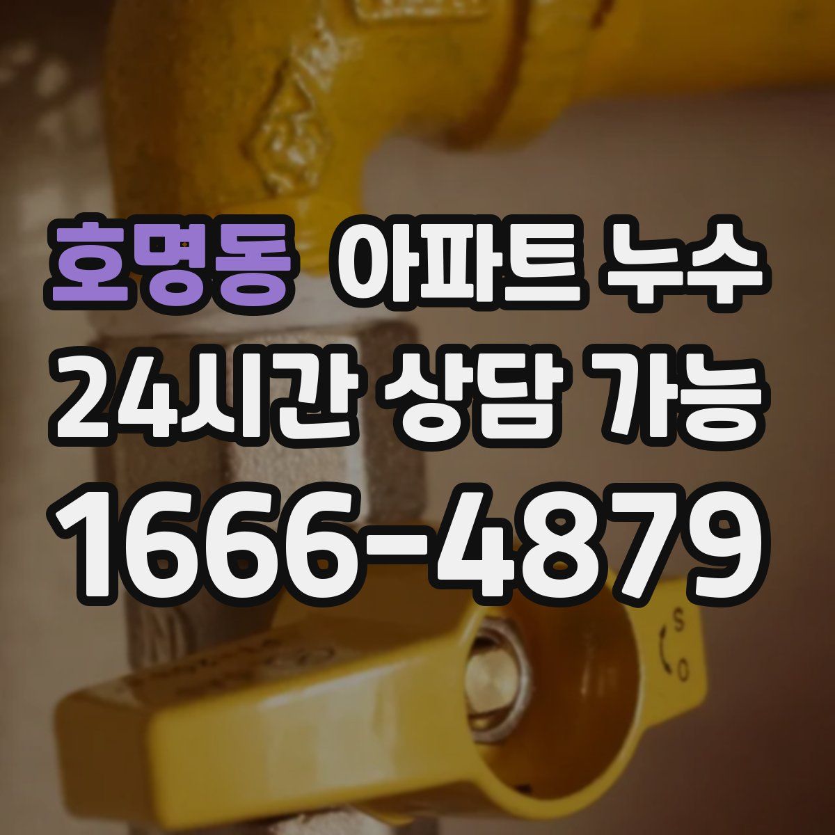 호명동 아파트 누수탐지