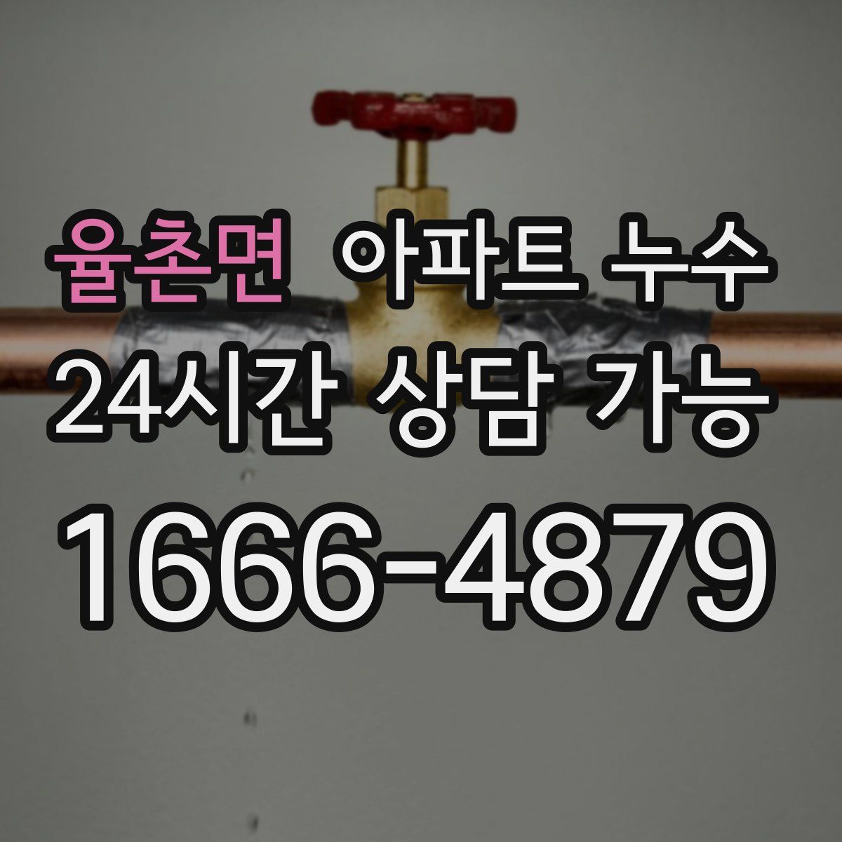 율촌면 아파트 누수탐지