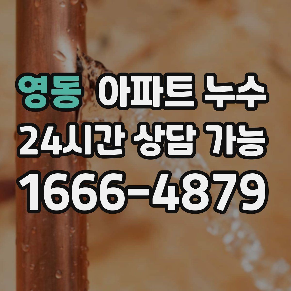 영동 아파트 누수 전등 주변 변색이 보이면 위험 신호