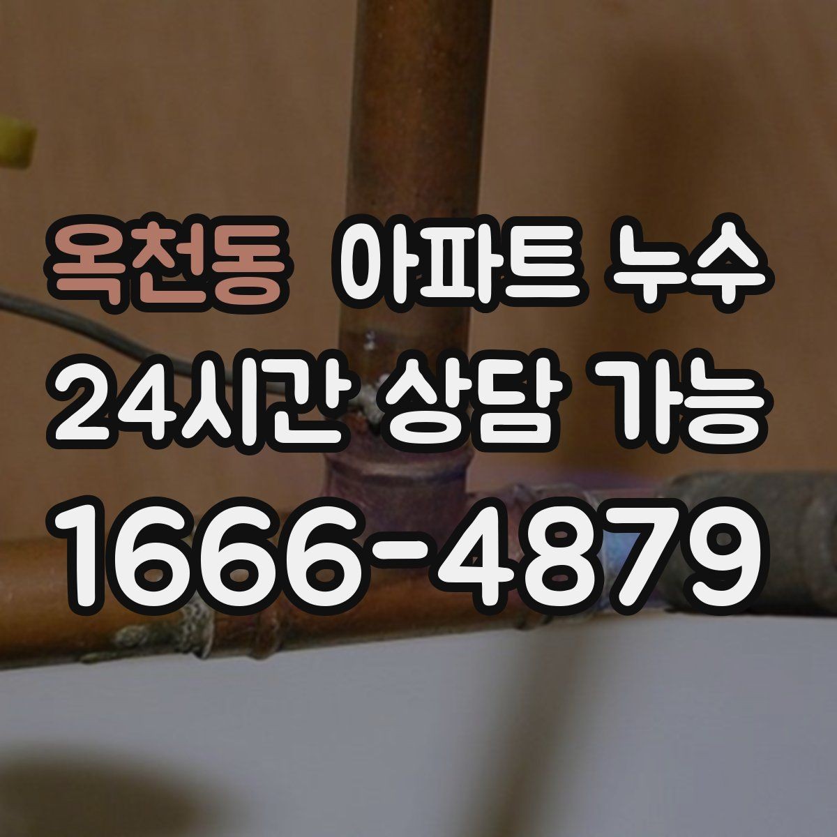 옥천동 아파트 누수 현관 주변 젖음 보이면 원인 확인부터 정리