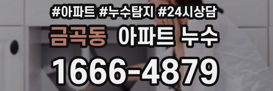 금곡동 누수탐지