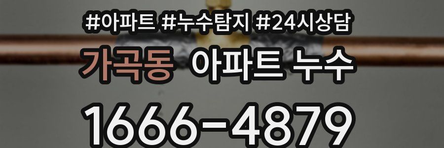 가곡동 누수탐지