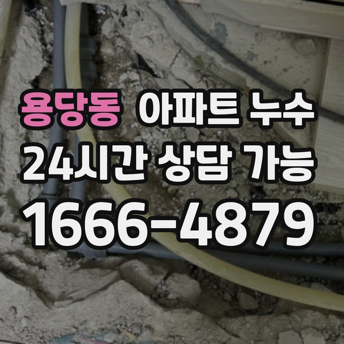 용당동 아파트 누수 비 온 뒤에만 생길 때 당황하지 않는 피해 최소화 정리