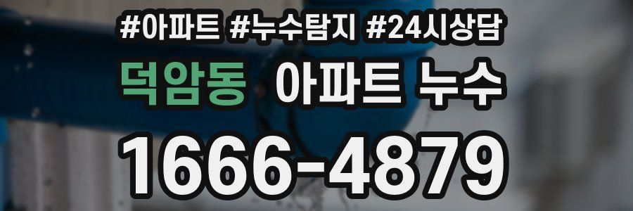 덕암동 누수탐지