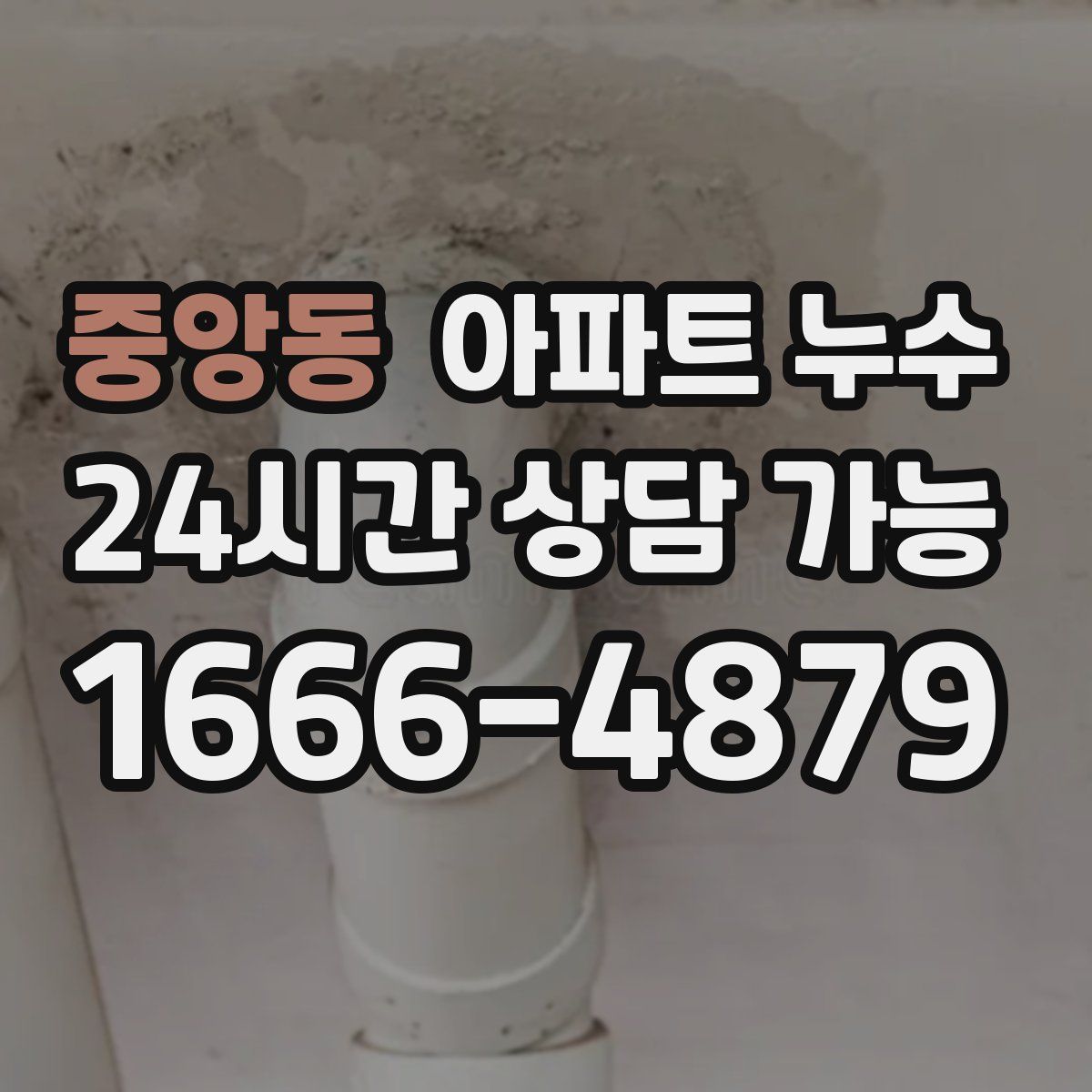 중앙동 아파트 누수탐지