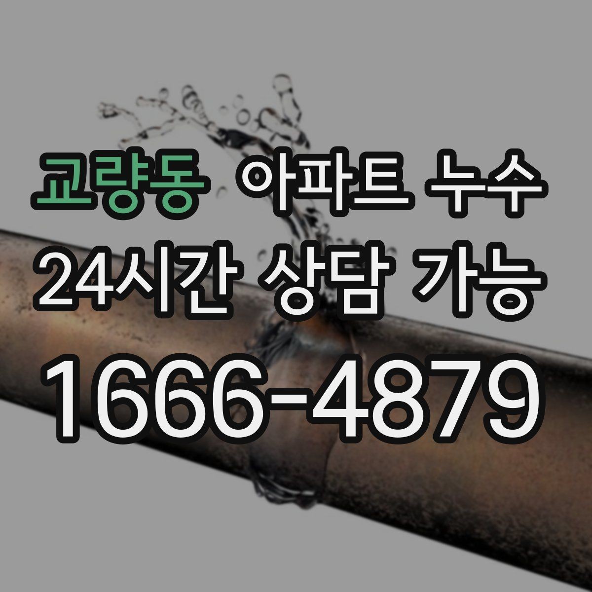 교량동 아파트 누수 물자국은 큰데 냄새가 약할 때