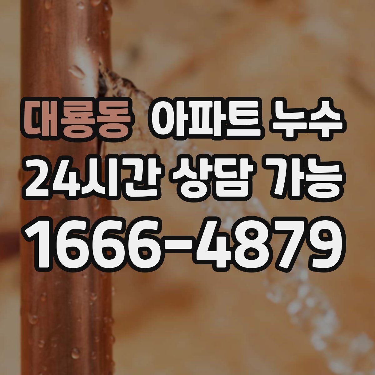 대룡동 아파트 누수 아래층 천장 얼룩이 생겼다고 할 때