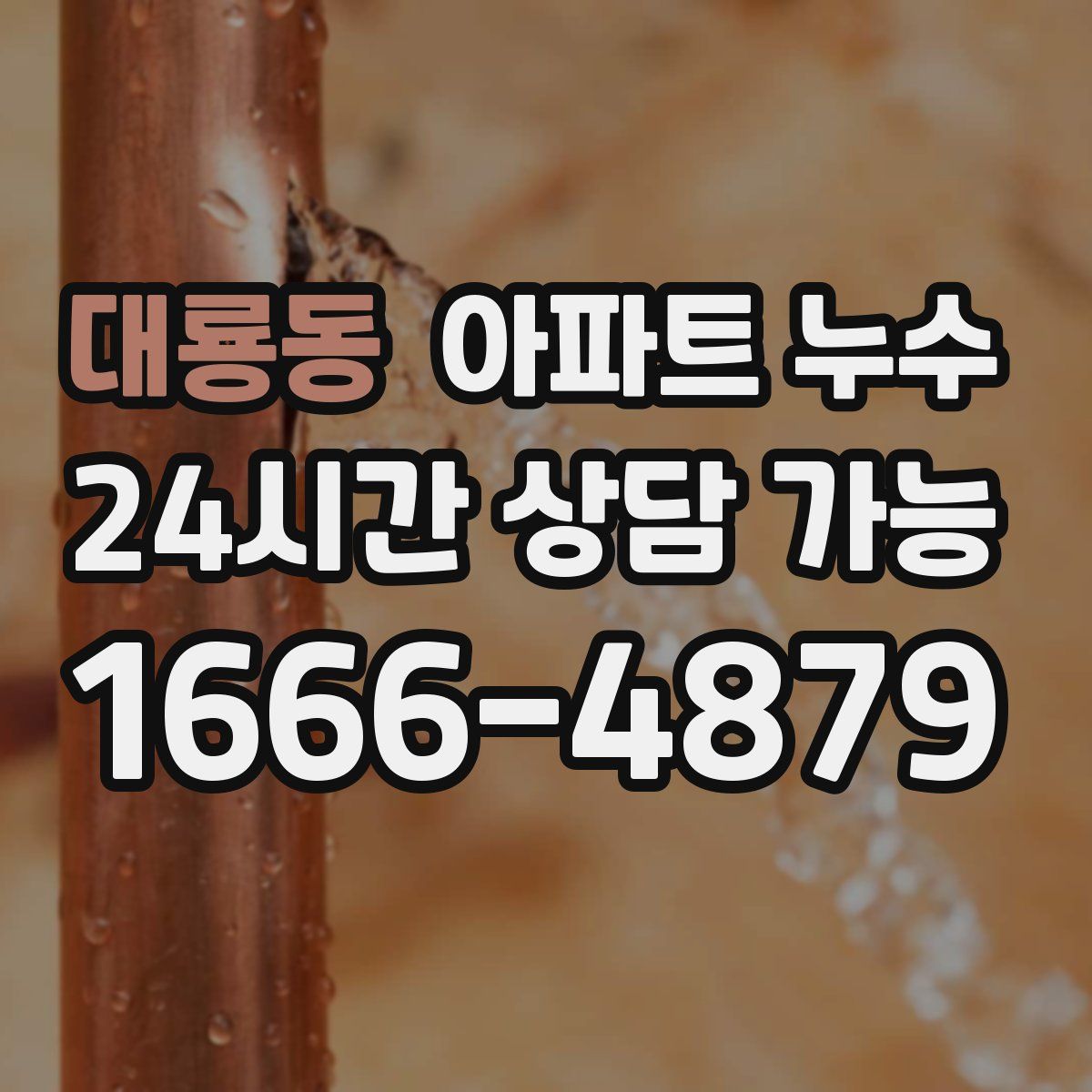 대룡동 아파트 누수탐지