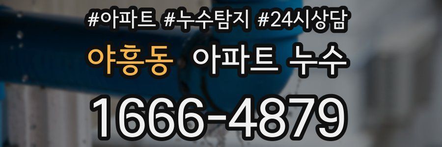 야흥동 누수탐지