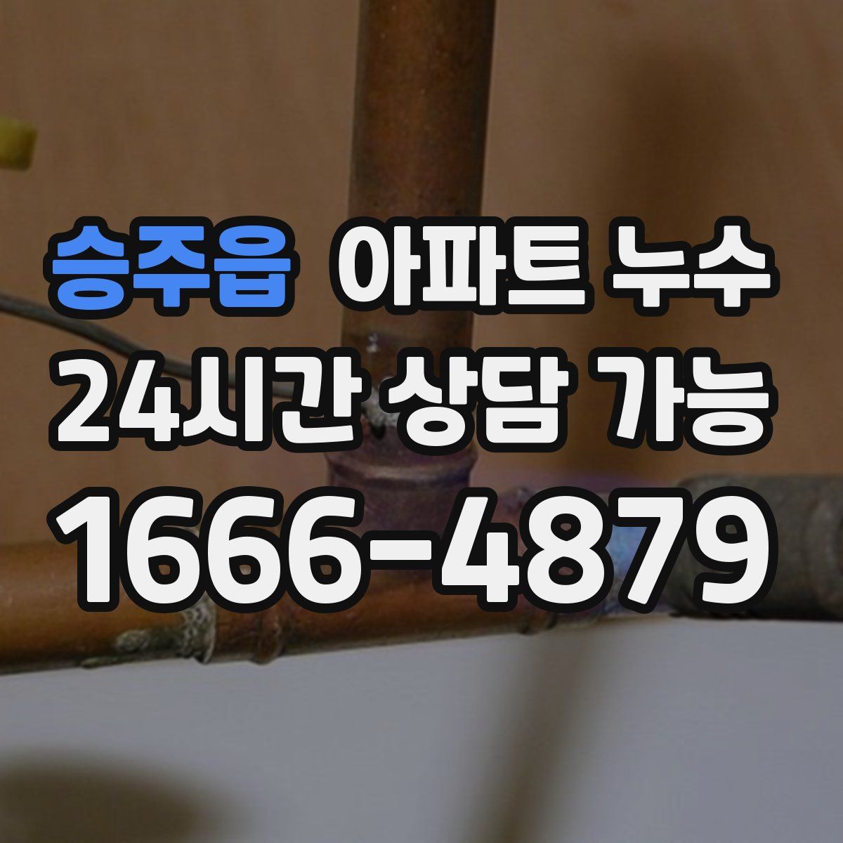 승주읍 아파트 누수탐지