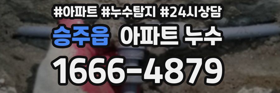 승주읍 누수탐지