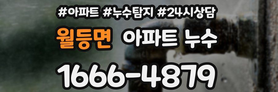 월등면 누수탐지