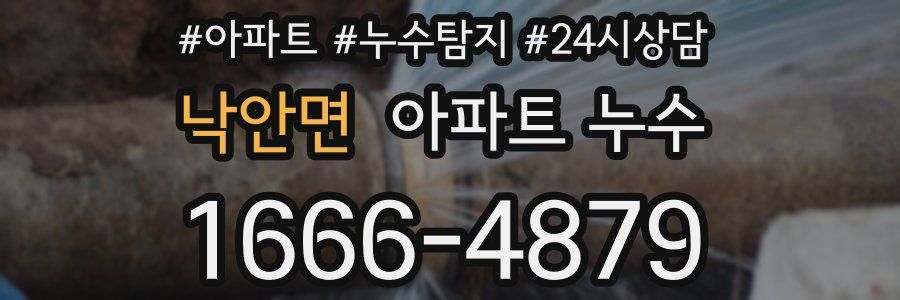 낙안면 누수탐지