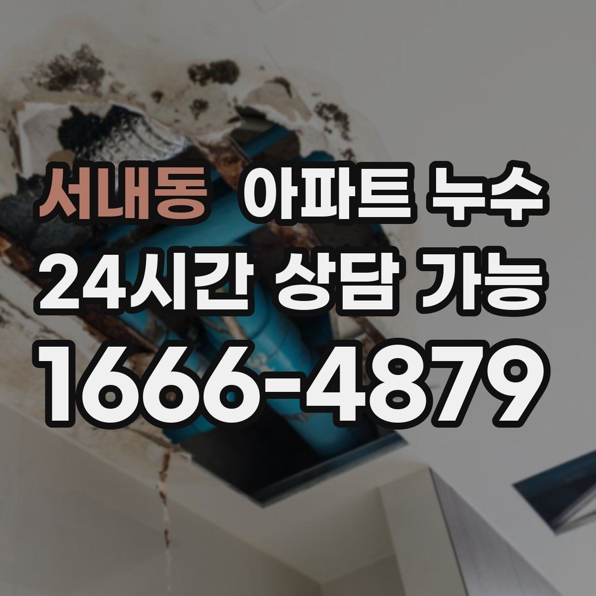 서내동 아파트 누수 페인트 칠하기 전에 점검해야 하는 이유