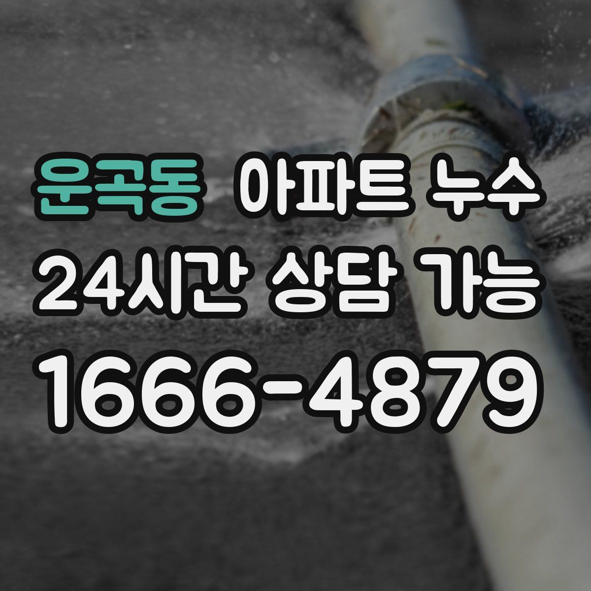 운곡동 아파트 누수탐지