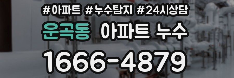 운곡동 누수탐지