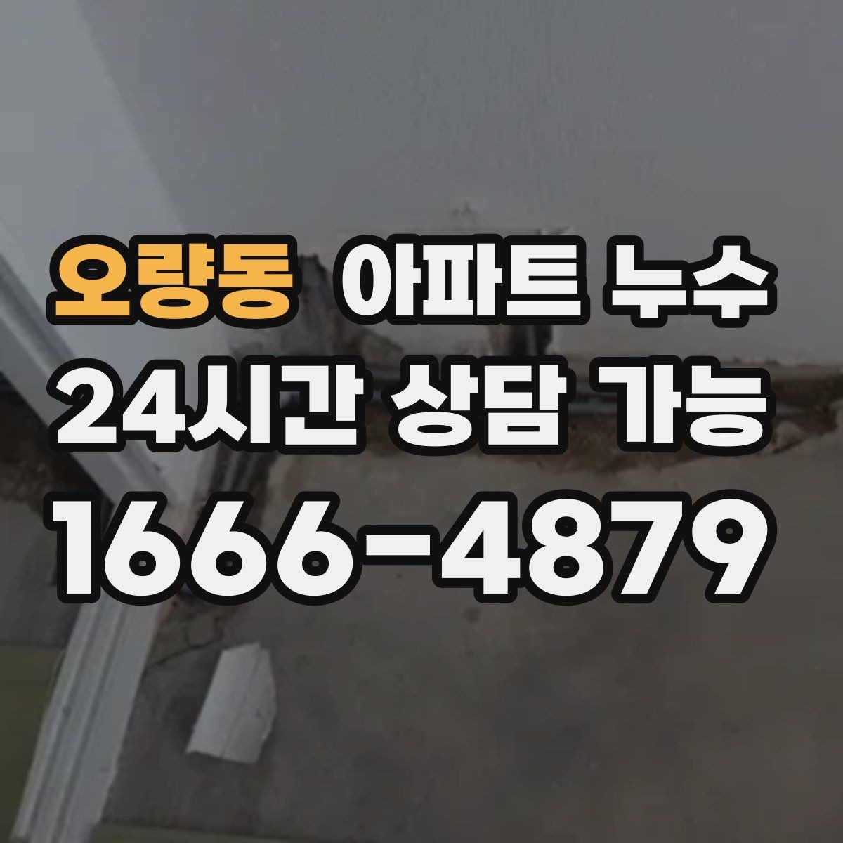 오량동 아파트 누수 곰팡이가 늘어날 때 먼저 해야 할 관리사무소 대응