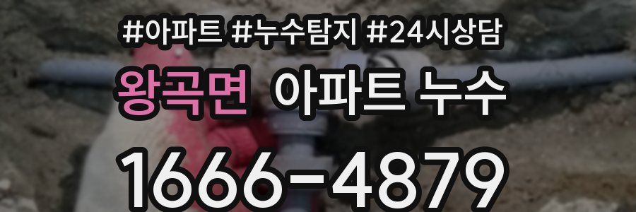 왕곡면 누수탐지