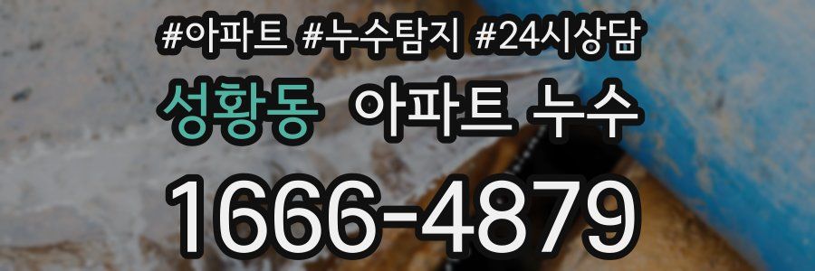 성황동 누수탐지