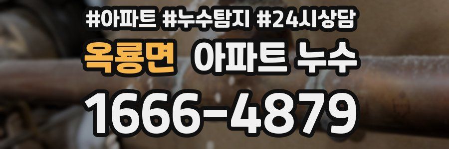 옥룡면 누수탐지