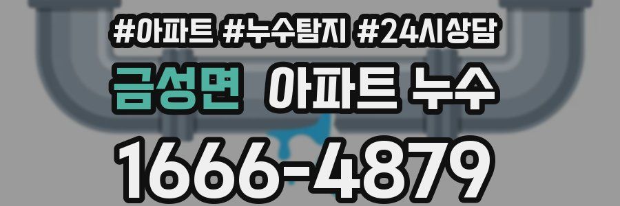 금성면 누수탐지